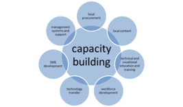 Training Course on Strategic Manager's Role in Capacity Building