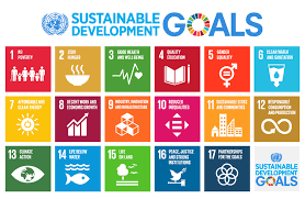Training course  on Sustainable Development Goals (SDGs): Implementation and Monitoring