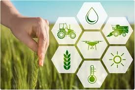 Training Course on Sustainable Packaging Solutions for Agri-Food Products