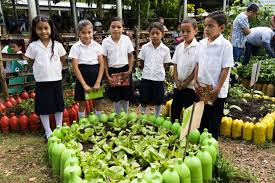 Training Course on Sustainable School Operations and Green Initiatives
