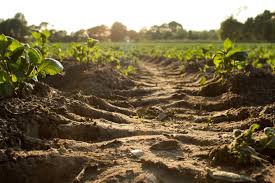 Training Course on Sustainable Soil Erosion Control Techniques