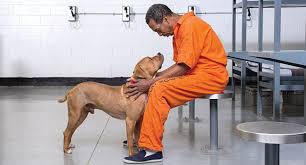 Therapeutic Jurisprudence in Corrections Training Course