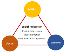 Training course on Understanding Social Protection Program Typologies (Cash, In-kind, etc.)