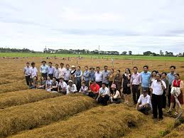 Training Course on Waste-to-Resource and Circular Economy in Agriculture