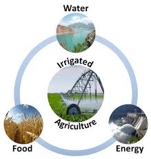 Training course on Water-Energy-Food Nexus in Renewable Development