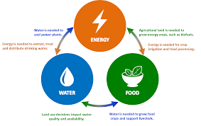 Training course on Water-Energy-Food (WEF) Nexus in Infrastructure Planning
