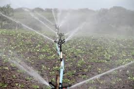Training Course on Water Use Efficiency and Productivity in Agricultural Systems