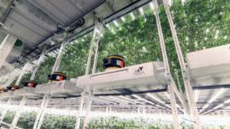 Vertical and Controlled Environment Agriculture (CEA) Post-Harvest Training Course