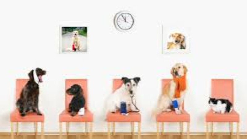 Veterinary Ethics & Professionalism Training Course