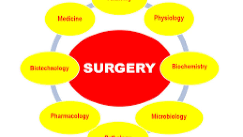 Veterinary General Surgery Principles Training Course