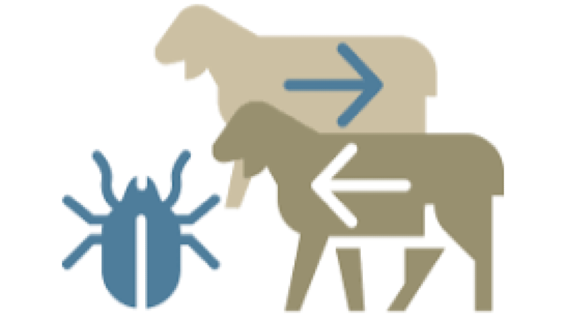 Veterinary Infectious Diseases Training Course