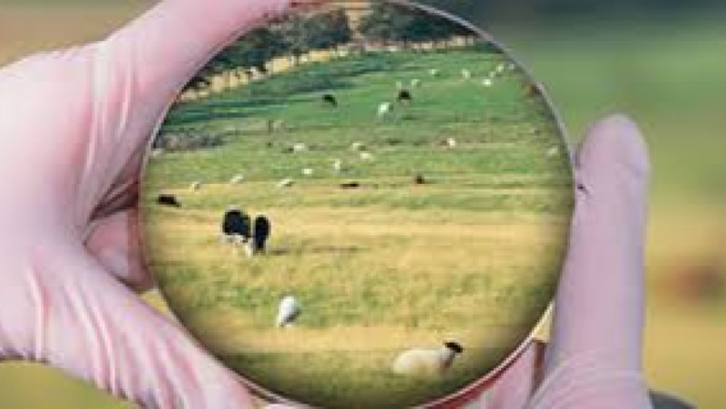 Veterinary Microbiology & Immunology Training Course