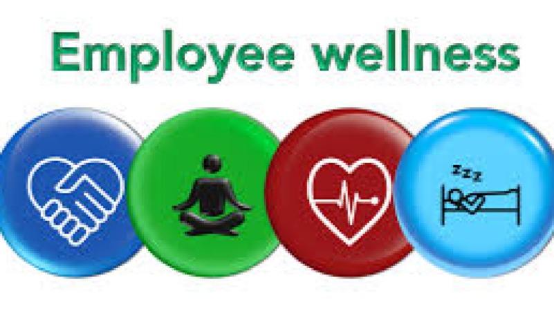 Wellness Programmes for Employees Training Course