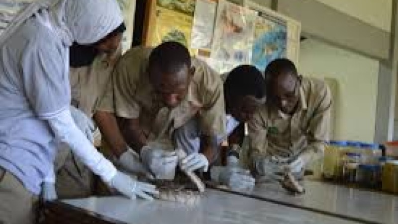 Wilderness Area Management Training Course