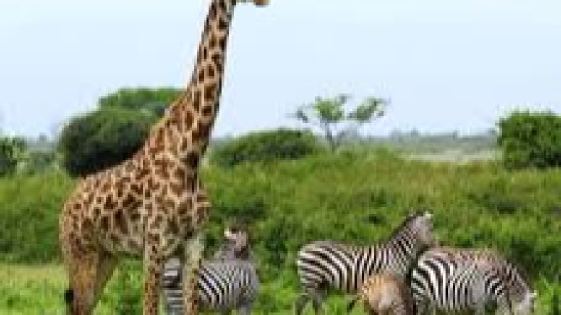 Wildlife-Based Enterprise Development Training Course