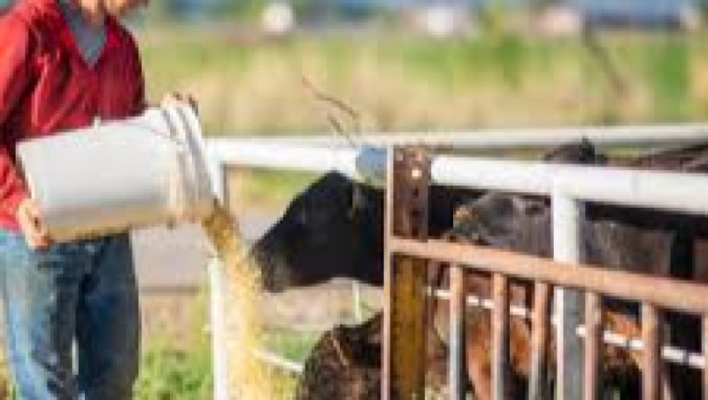 Wildlife Nutrition Training Course