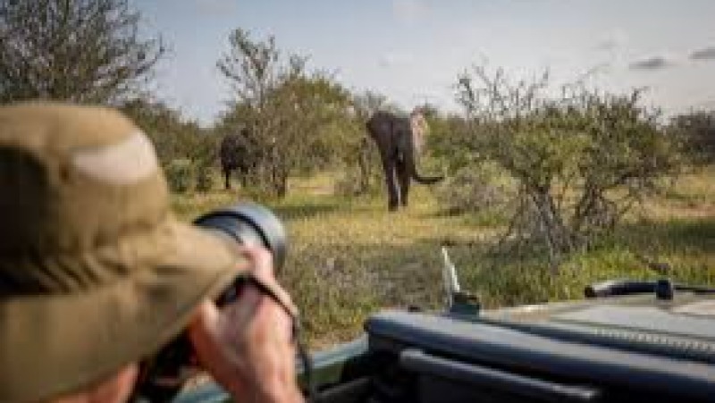 Wildlife Photography and Conservation Training Course