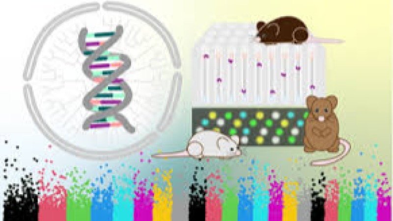 Wildlife Population Genetics Training Course